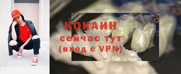 шишки Алексин