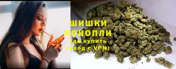 шишки Алексин